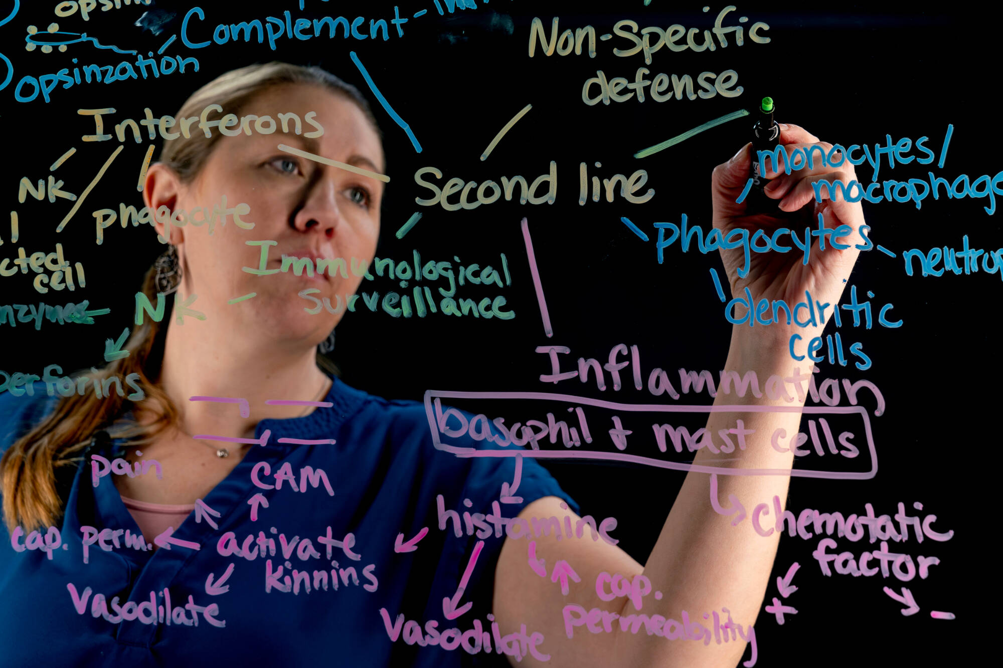 Biomedical Sciences affiliate professor Jenni Bourbina using a lightboard